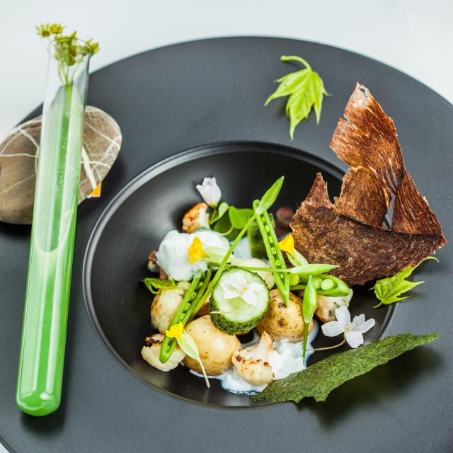 Salat-supp "Eesti Kevad"